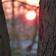 saisonthumbs (26).JPG